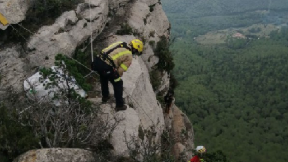 Bombers rescatan a una cabra atrapada en la zona de la Font del Roure, en el Albiol