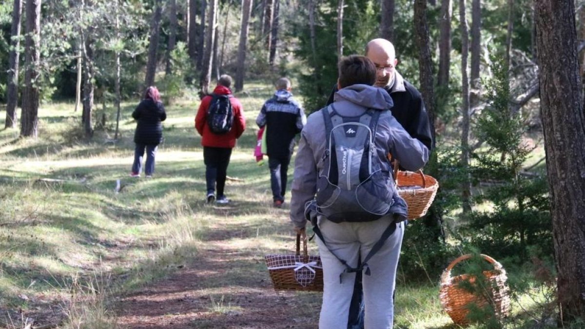 Uns 40 boletaires s'han perdut al bosc el 2021 a Catalunya