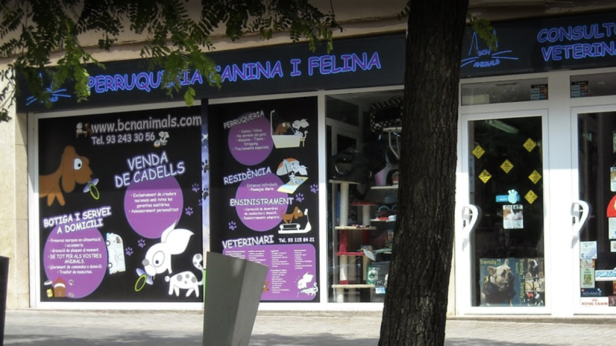 Intervenidos 14 cachorros de gato y perro en una tienda de la Sagrera de Barcelona por|para graves irregularidades
