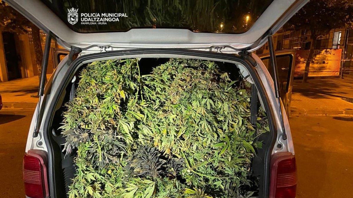 Intercepten una furgoneta plena de marihuana per la forta olor que feia
