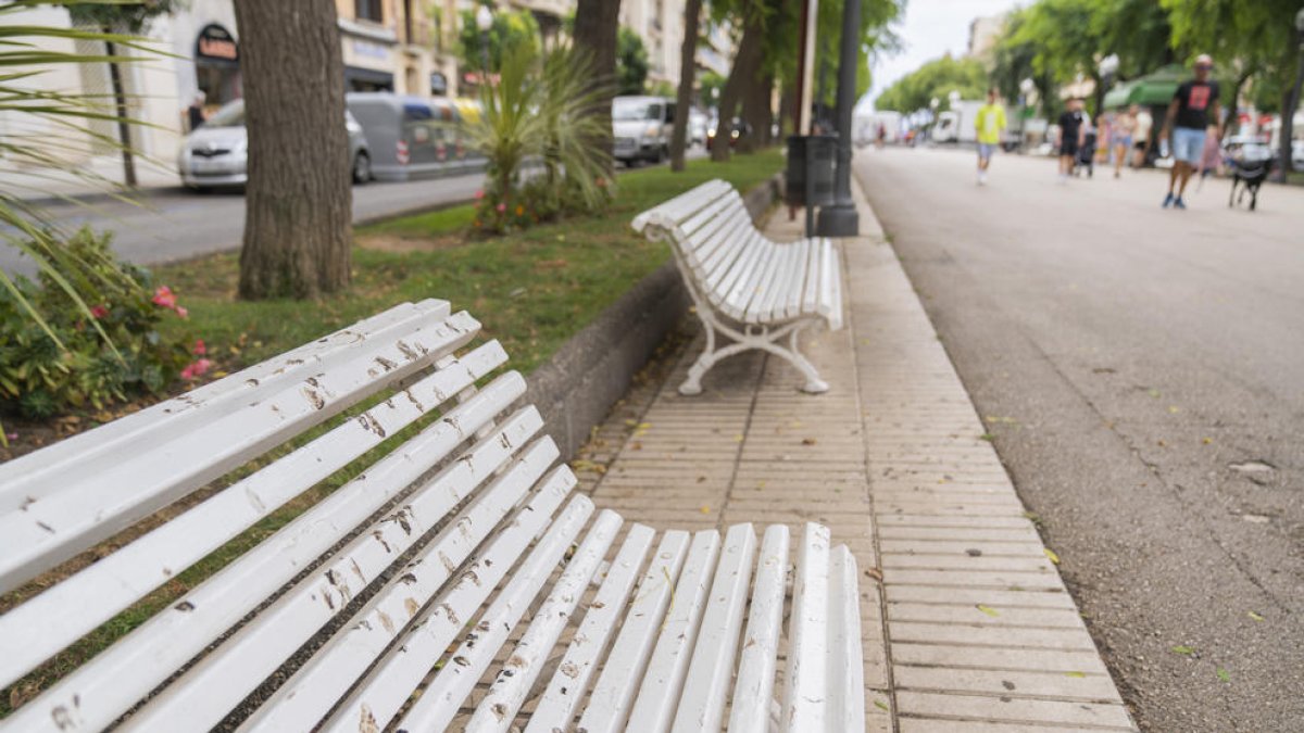 Vianants de la Rambla  de Tarragona critiquen la manca de neteja d'aquesta via