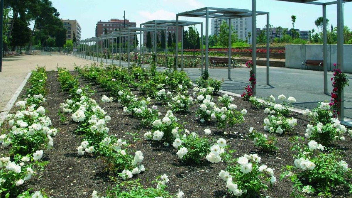 L'Ajuntament de Reus licita la remodelació del Roserar i el parc de Garcia Lorca