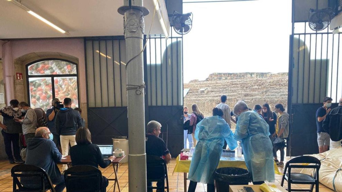Les quatre colles castelleres es fan tests d'antígens per celebrar l'acció castellera