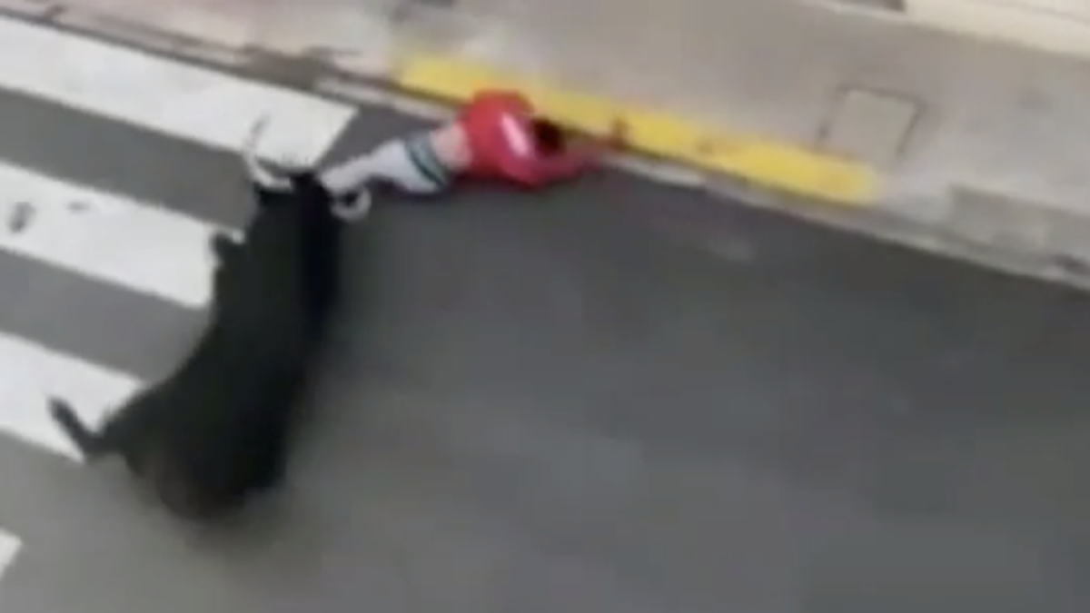 Dos heridos y un muerto el fin de semana en fiestas de bueyes en la Comunidad Valenciana