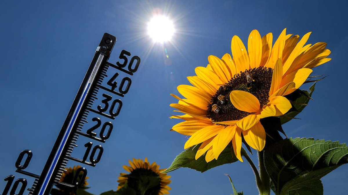 Estem avisats: «els fenòmens meteorològics extrems són la nova normalitat»