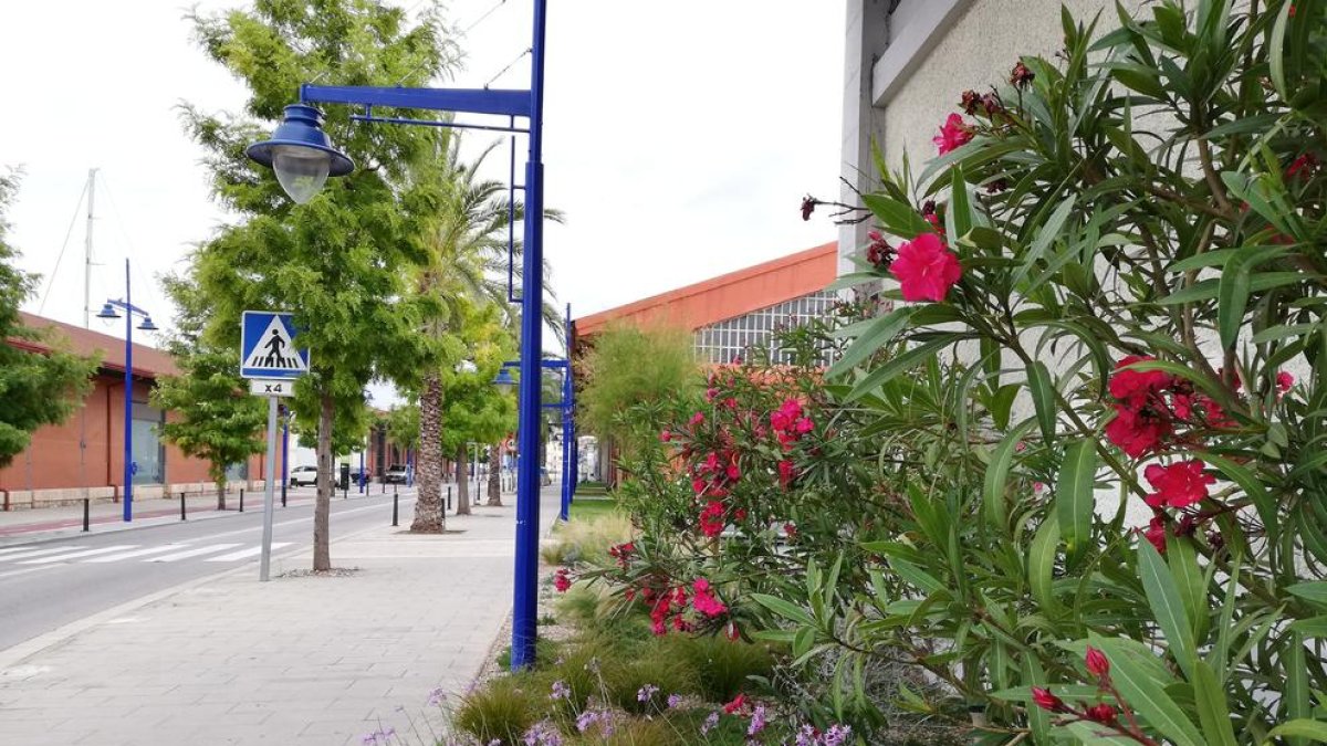 El Port substitueix més d'un centenar de punts de llum per uns més sostenible i eficients al Moll de Costa