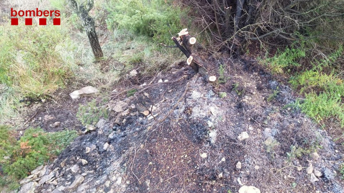 Activadas dos dotaciones terrestres y una aérea para extinguir un incendio en Corbera d'Ebre