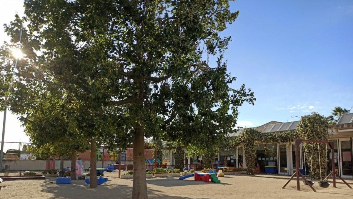Adjudicades les obres per als jardins educatius de les escoles bressol Marfull i Margalló de Reus