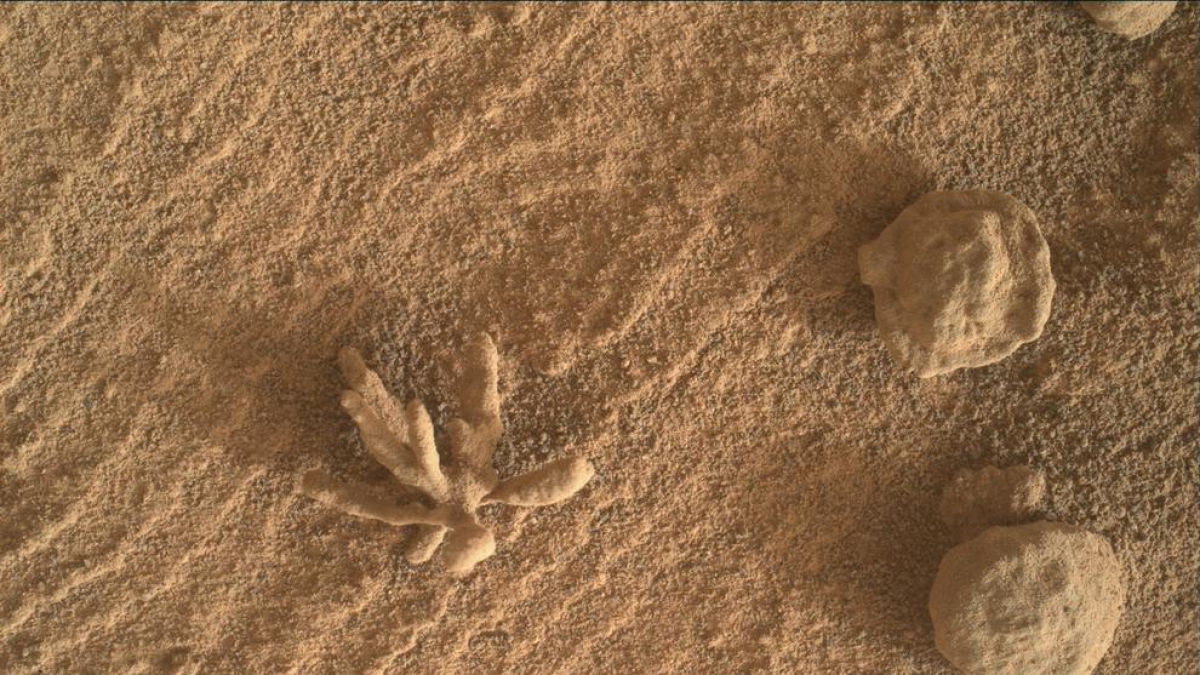El Curiosity troba una 'flor' a Mart