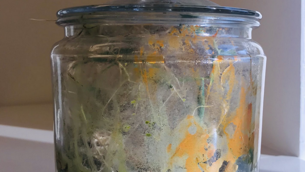 Torna a l'oficina dos anys després i queda impactada amb l'estat de la col·lecció de plantes que tenia