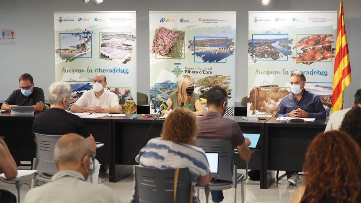 El Consell de la Ribera d'Ebre aprova el Pla de Reactivació Socioeconòmica per afrontar els reptes de la comarca
