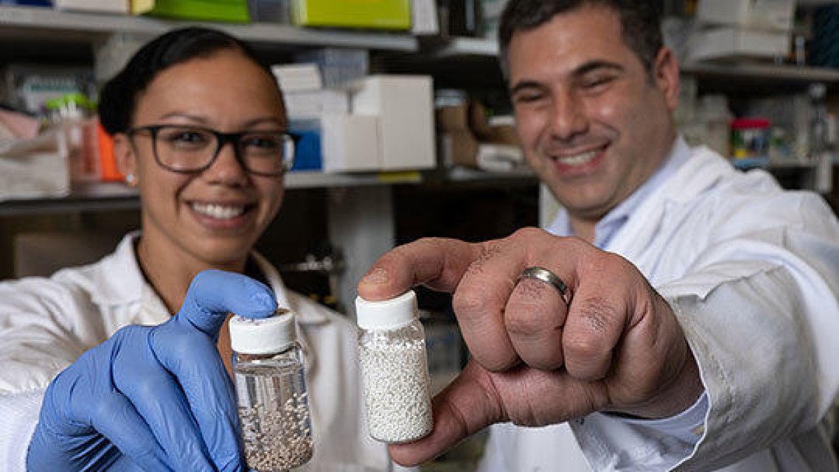 Un tratamiento consigue eliminar en animales el cáncer de colon y de ovarios en sólo unos días