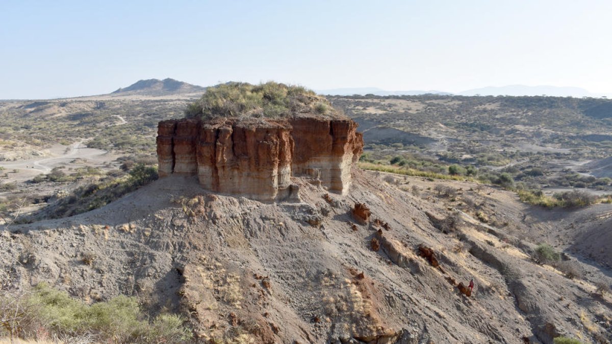 Una nueva técnica estudia residuos microbotánicos en herramientas de piedra