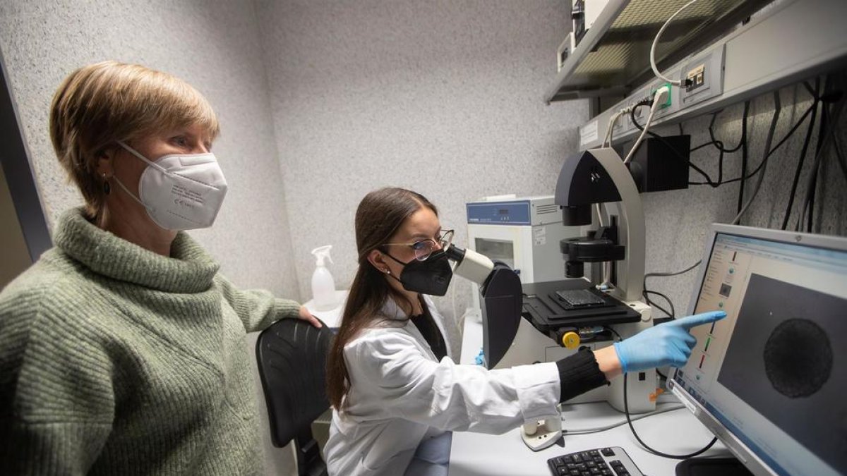Descubren cómo funciona la primera línea de defensa contra el cáncer de piel