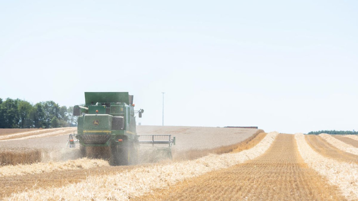 Ucrania prohíbe las exportaciones del grano de cebada a consecuencia del conflicto