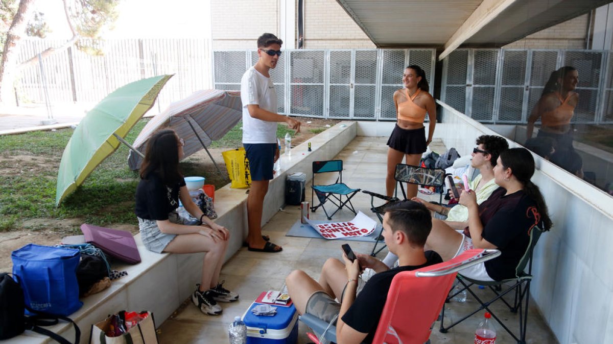 Quatre dies a les portes del Sant Jordi per ser els primers a entrar al concert de Rosalía