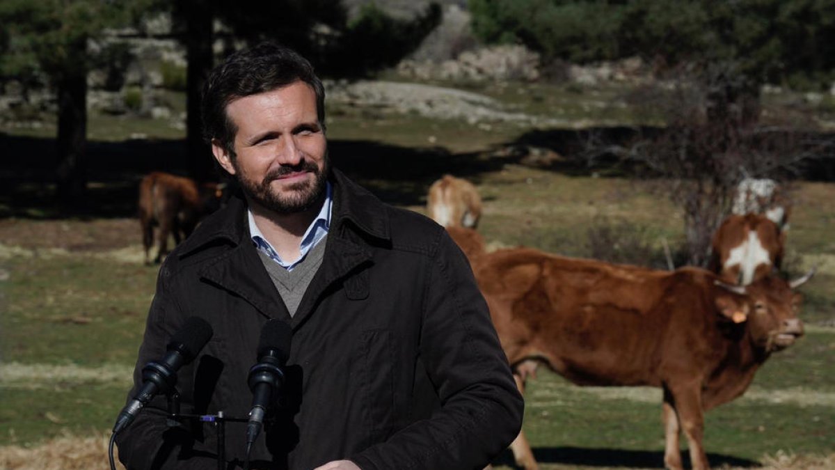 Casado critica Sánchez por acusarlo de negacionista: «Es surrealista»