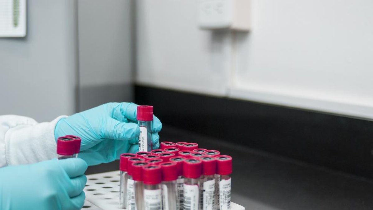 Les persones amb aquest grup sanguini tenen més probabilitats de contagiar-se de covid