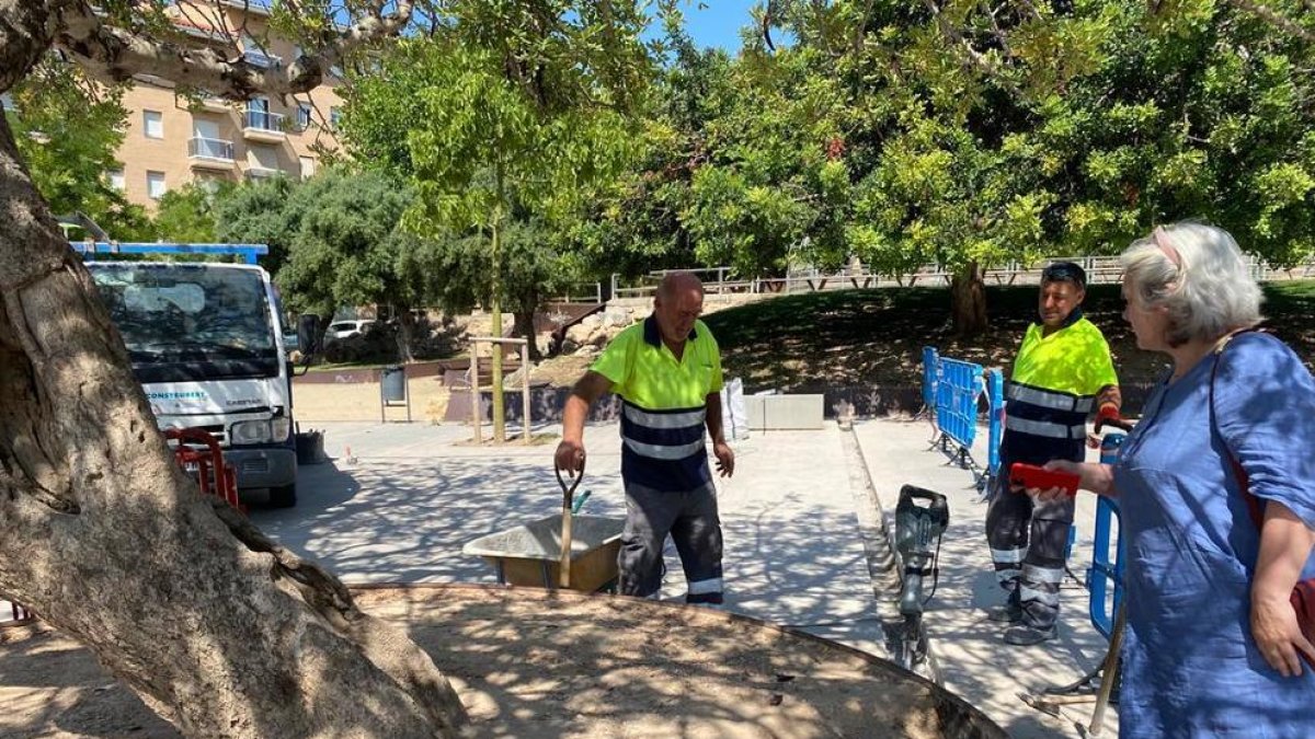 Empieza la instalación de un sistema de riego para el algarrobo del parque de las Letras Catalanas