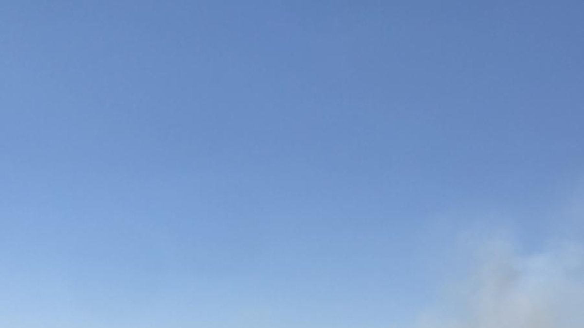 Un incendi afecta 9.500 metres quadrats de canyar a Valls