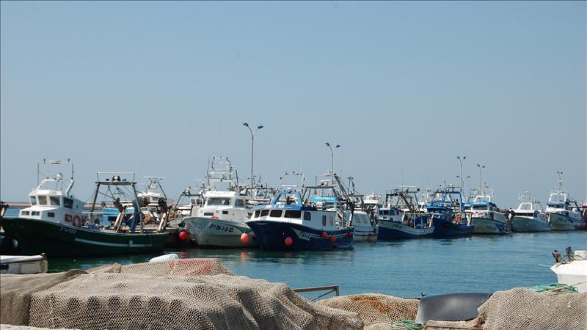 Pescadors de la Ràpita es queden a port en protesta pel preu del carburant