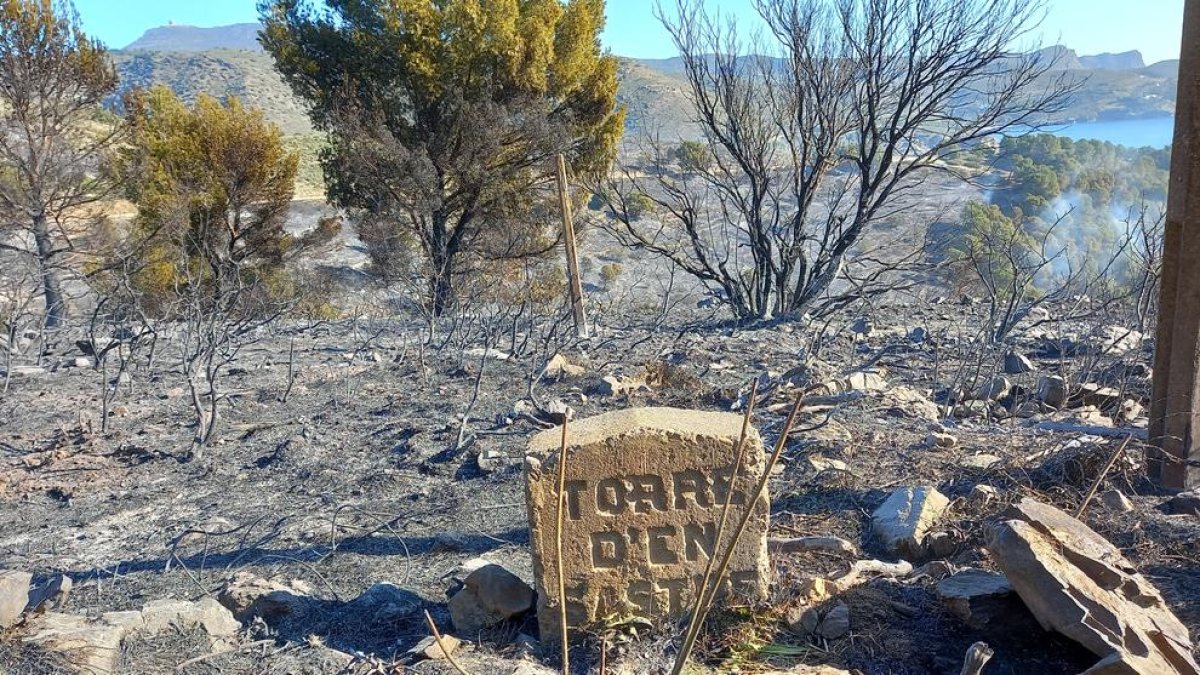 A partir d'aquest dimarts quedarà prohibit fer foc als boscos de Catalunya