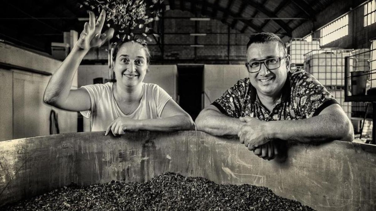 La fórmula reusenca per fer vi a casa