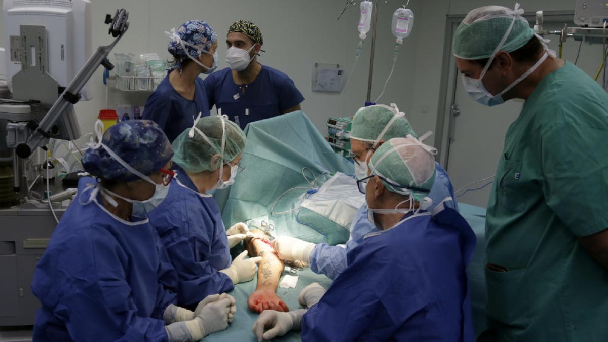 Nova tècnica de 'bypass' entre nervis perquè pacients tetraplègics recuperin la mobilitat a les mans