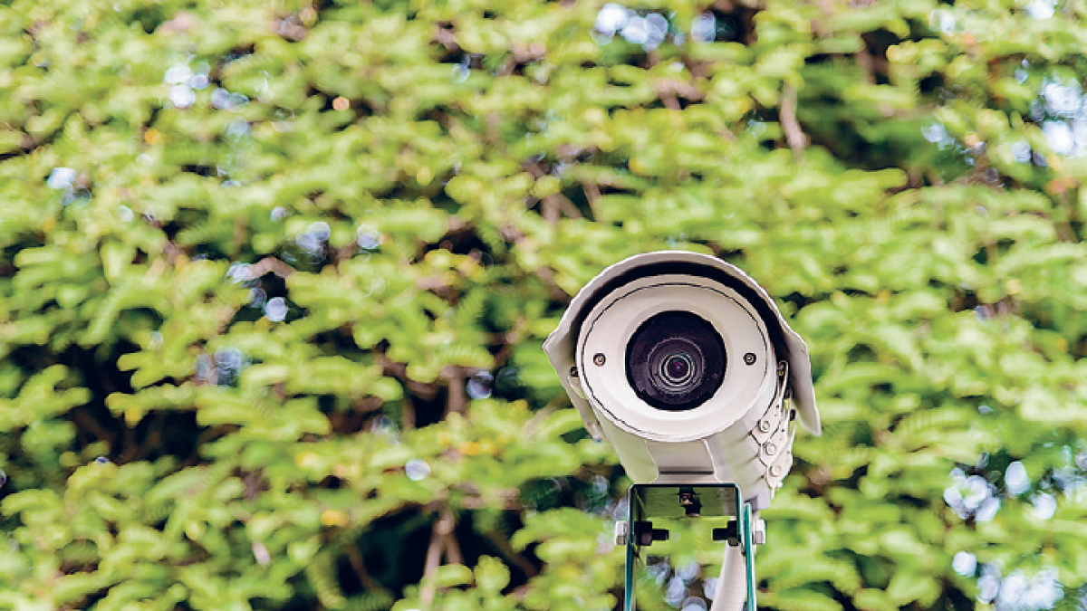 Mont-roig treu a concurs el servei de càmeres de vigilància