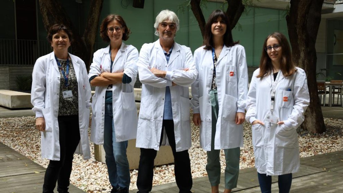 Descubren un conjunto de marcadores de mal pronóstico en pacientes con cáncer de colon y recto