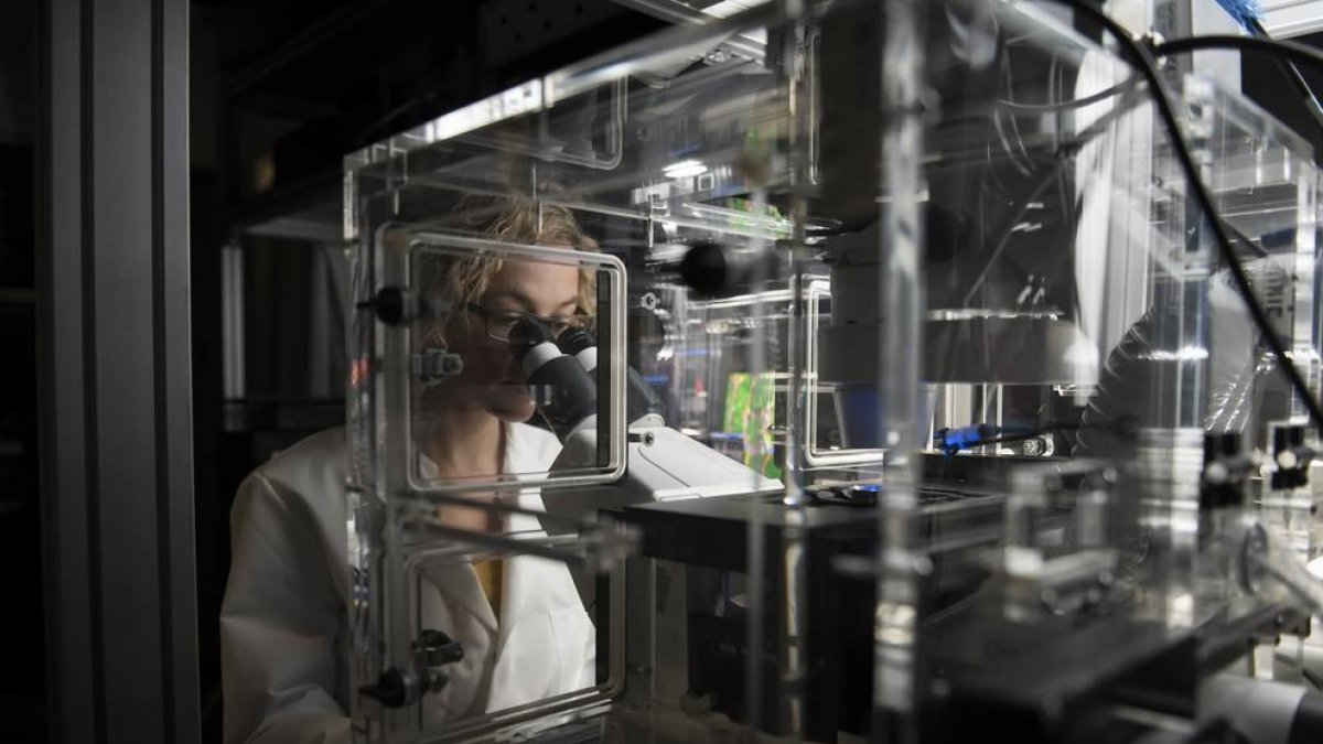 Identifican 64 genes que impulsan la hematopoyesis clonal, asociada a enfermedades cardiovasculares