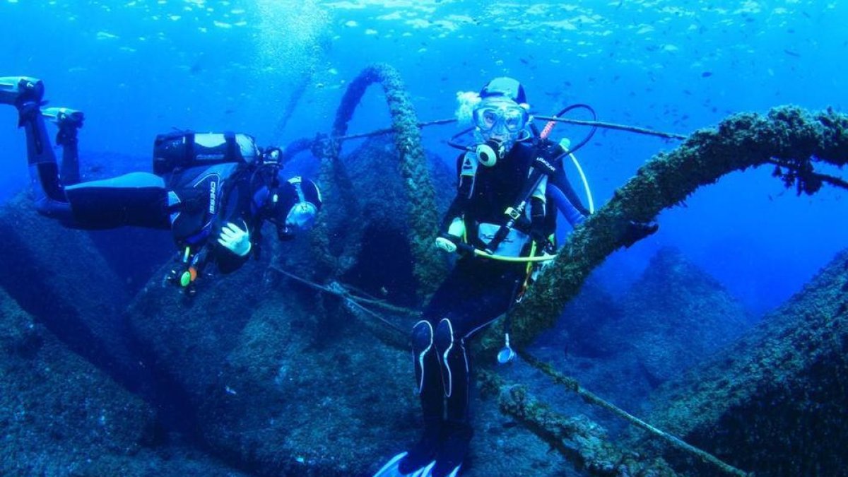El Parque Subacuático de la SES Tarragona suma 1.400 inmersiones este verano