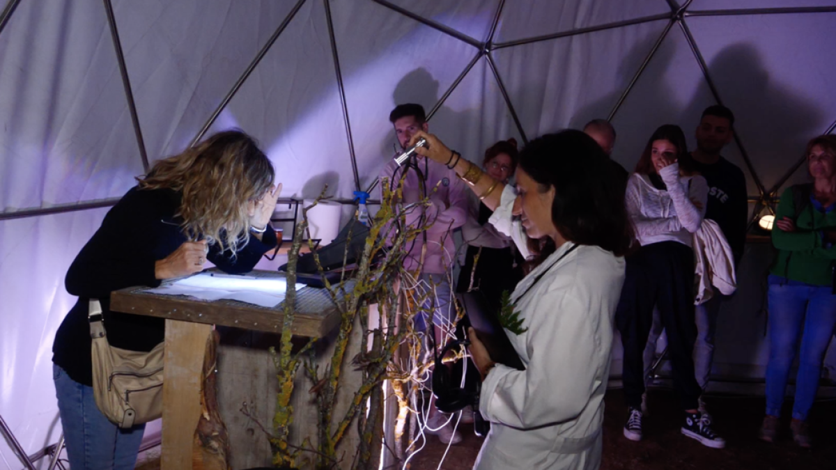 No ho sents? El bosc et parla