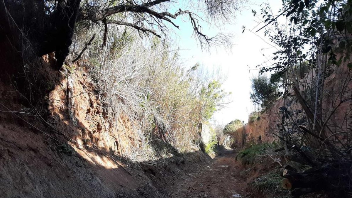 El Ayuntamiento de Reus lleva a cabo la limpieza de la parte descubierta del Barranc dels Gossos