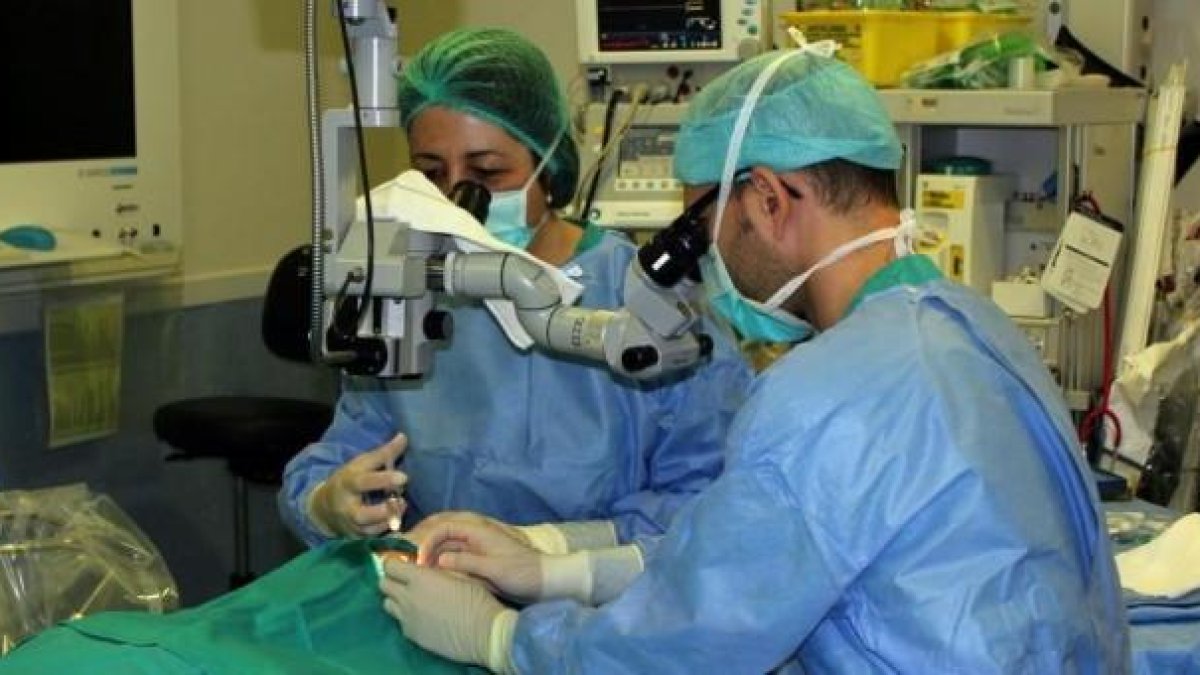 Nou de cada deu famílies de difunts accedeixen a donar òrgans i teixits