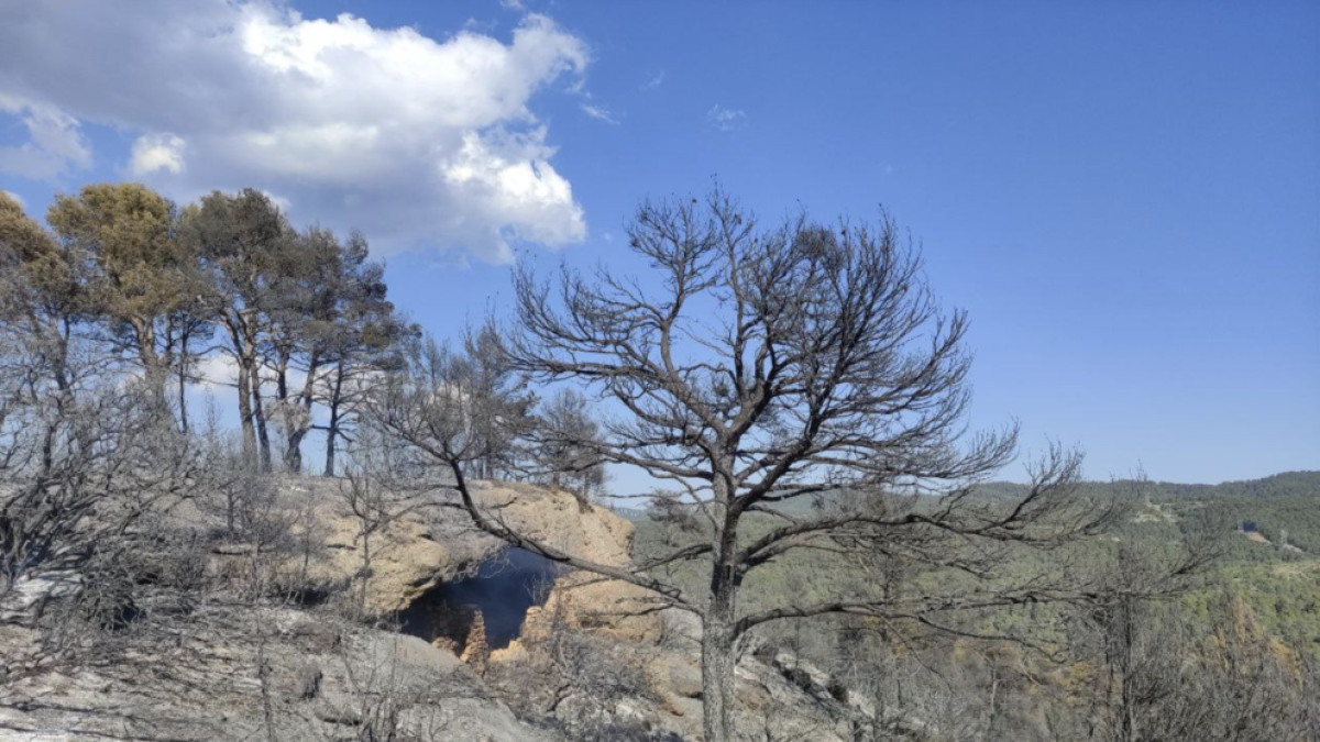 Estabilitzat l'incendi entre Juncosa i Ulldemolins que afecta prop de 6 hectàrees
