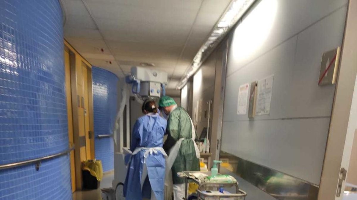 Identifiquen una molècula a la sang que ajuda a predir si una persona patirà la covid de forma severa