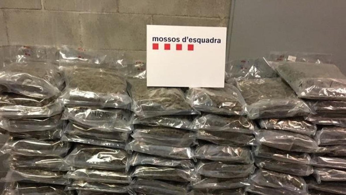 Ingresa en la prisión a un hombre que transportaba 135 kilos de marihuana a su camión