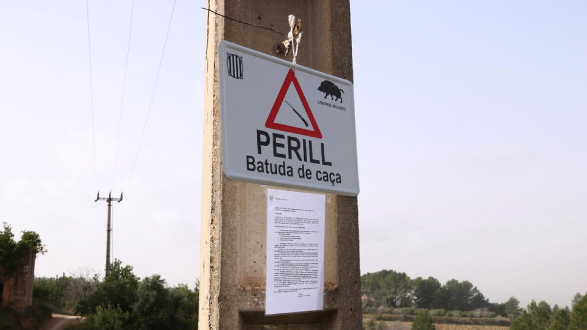Batida de jabalíes en la Junquera después de detectar cerca de un jardín de infancia