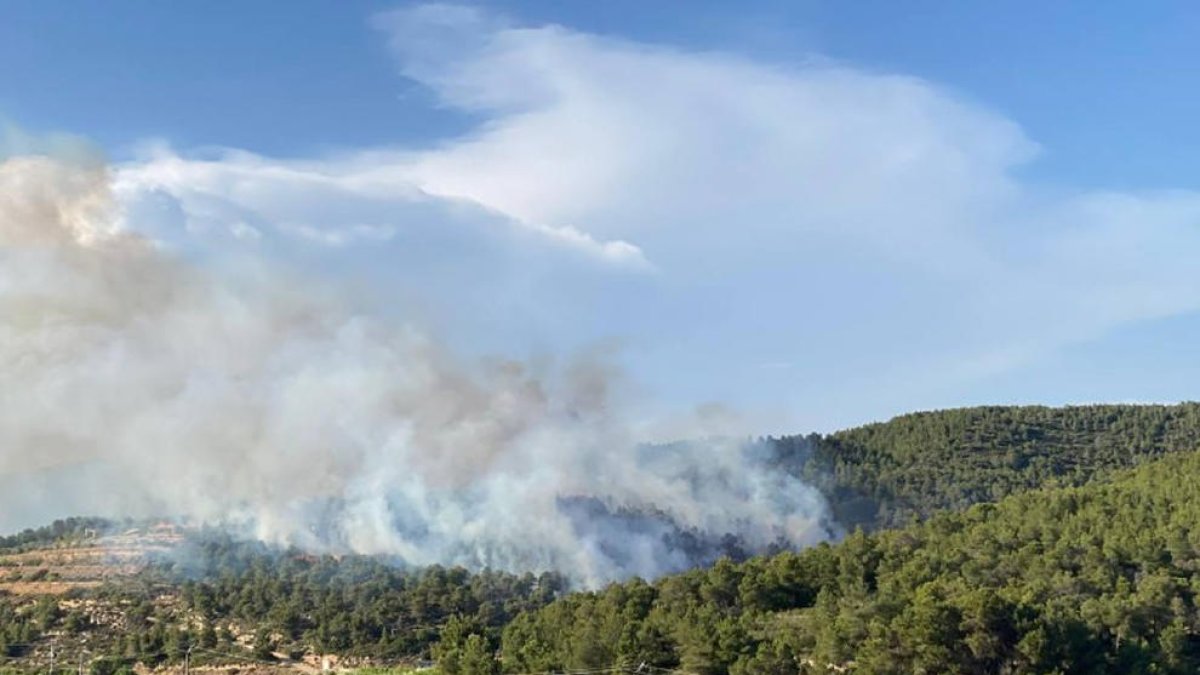 23 dotaciones de los Bomberos trabajan para apagar un incendio en Vilalba dels Arcs (Terra Alta)