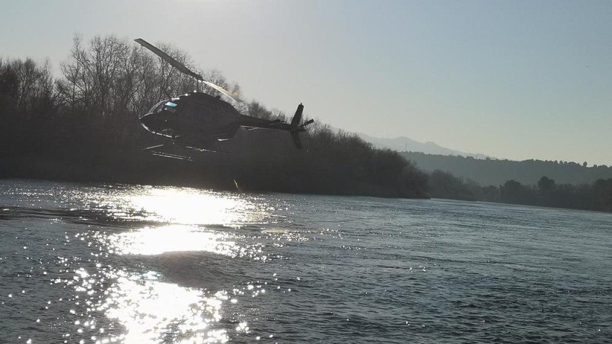 El COPATE inicia els tractaments contra la mosca negra al tram final del riu Ebre