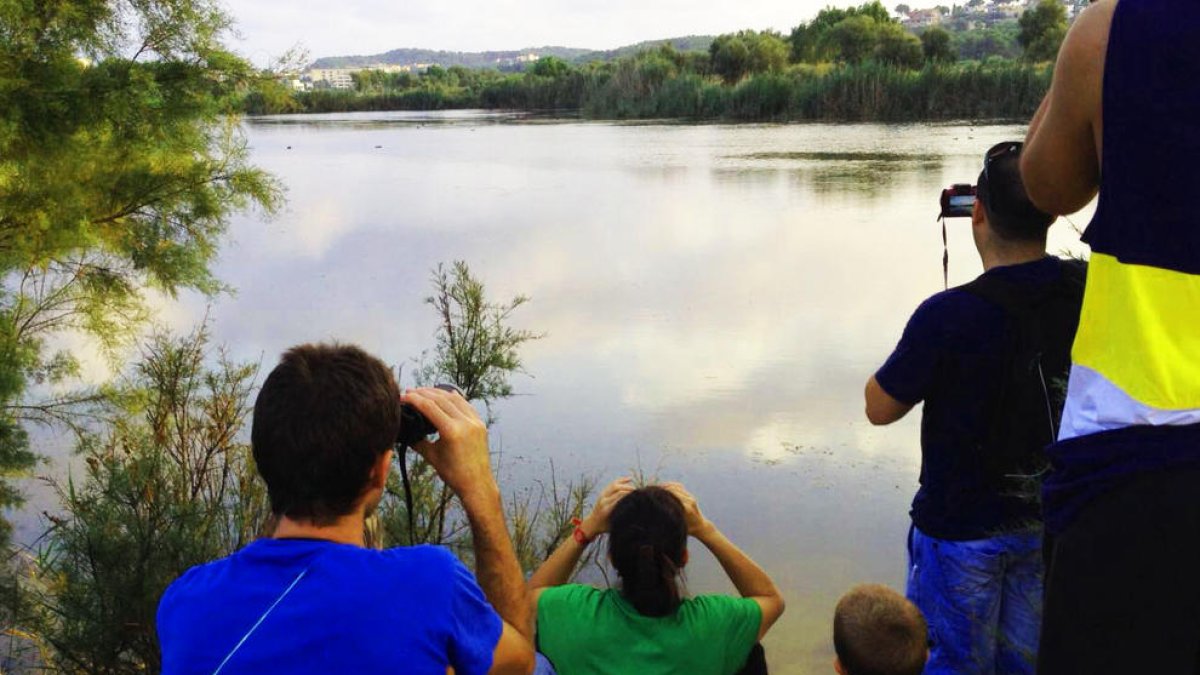 Les visites a l'espai natural de la Séquia Major, disponibles durant els caps de setmana