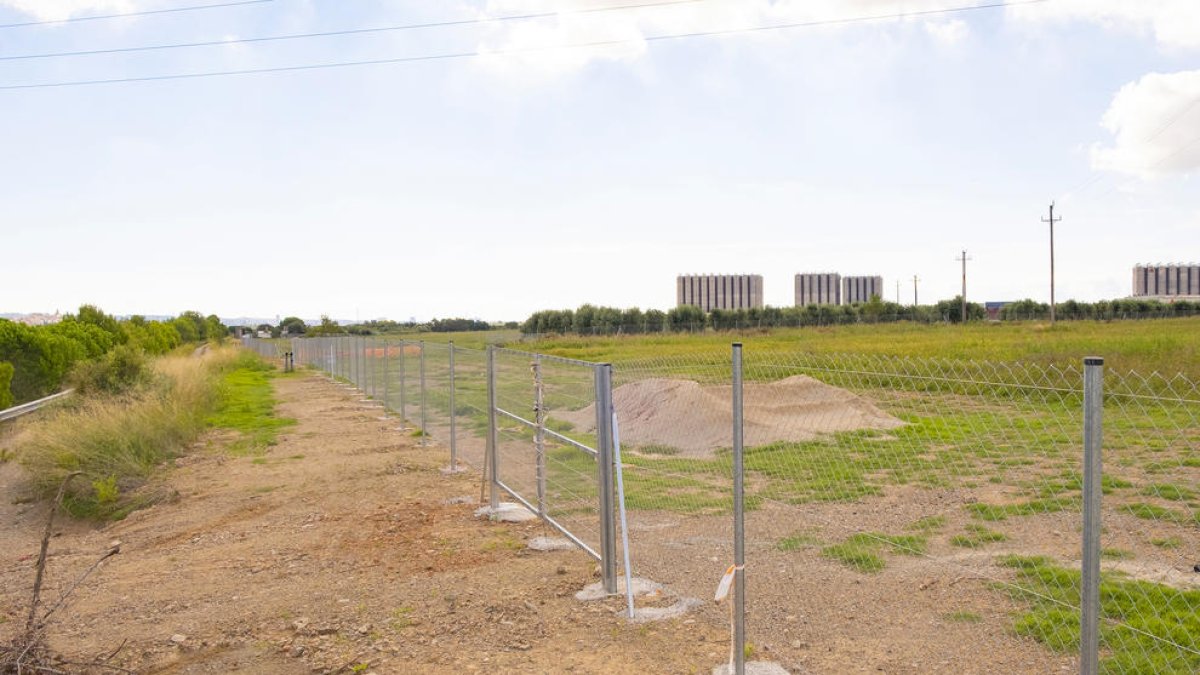 La Junta de Govern Local aprova la llicència d'obres per la planta fotovoltaica 'Constantí 42'