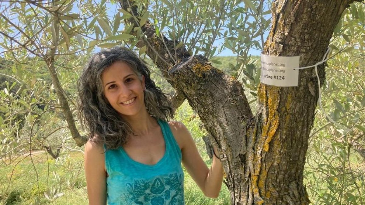 Oliveres que busquen padrins