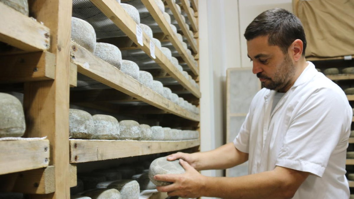 L'Albió acull una de les formatgeries més importants de Catalunya