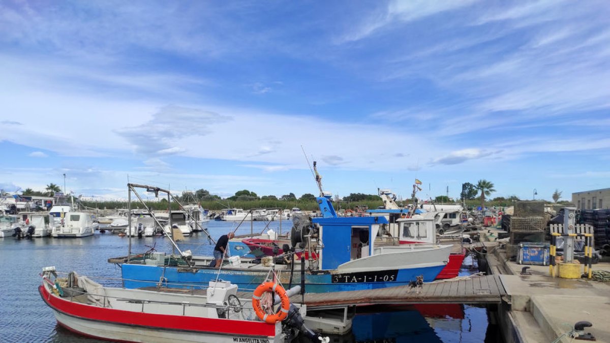 El nuevo Comité de Cogestión de la Pesca del delta del Ebro velará para preservar las especies