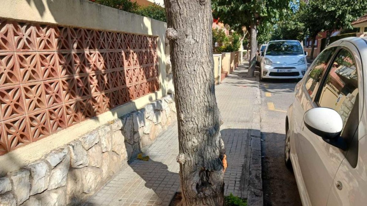 Salou inicia les obres d'urbanització a més de 40 carrers a finals de mes