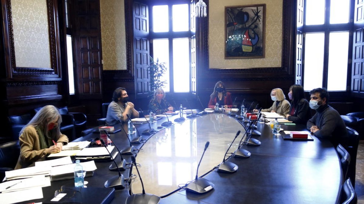 La Mesa proposa però no ordena aturar el Parlament fins que hi hagi un nou dictamen sobre Juvillà