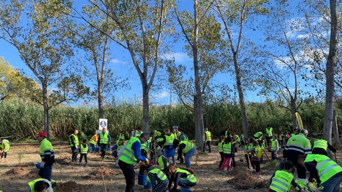 L'Associació Aurora insereix laboralment una vintena de persones amb malalties mentals