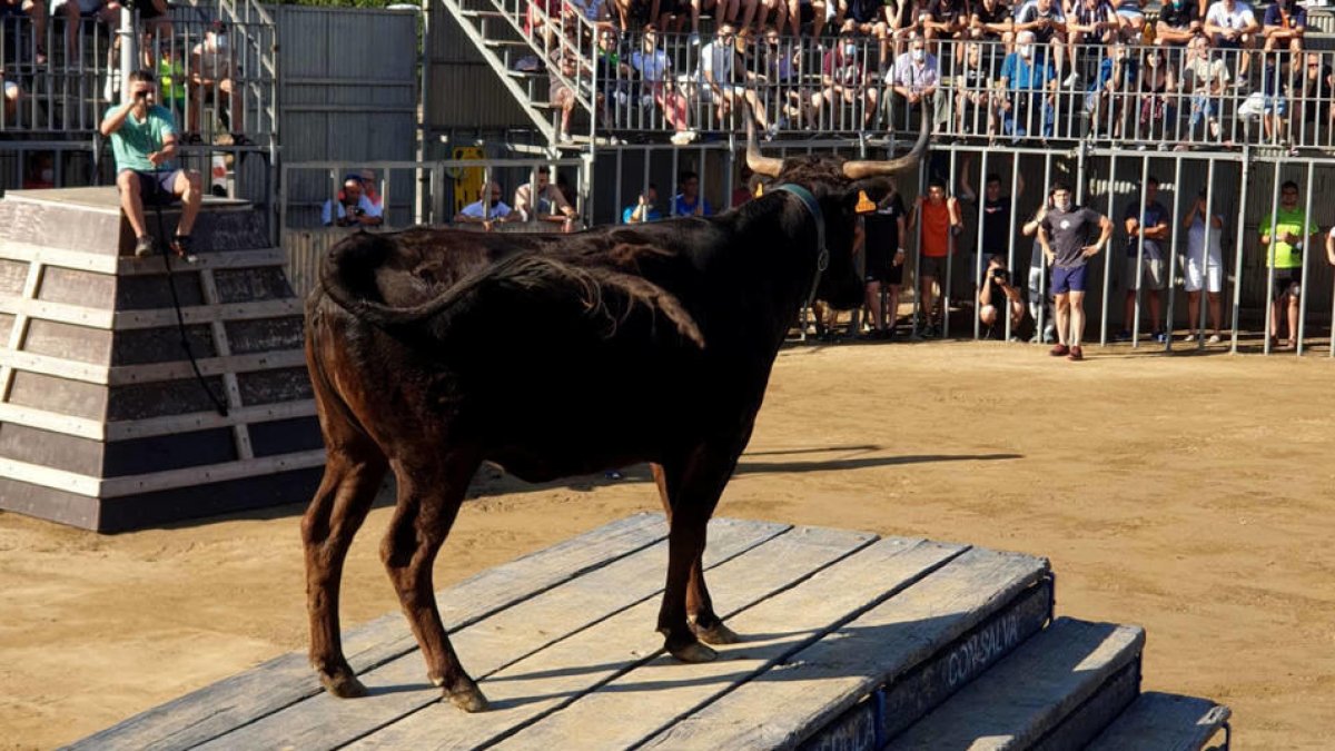 Cede una rampa de madera en la plaza de los correbous de Deltebre